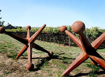 Blackbird Vineyards